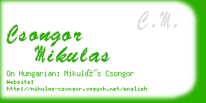 csongor mikulas business card